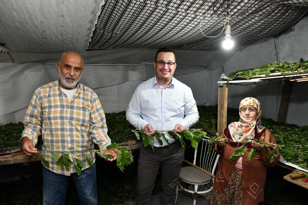 BİR KUTU İPEKBÖCEĞİ İLE 4 BİN TL GELİR