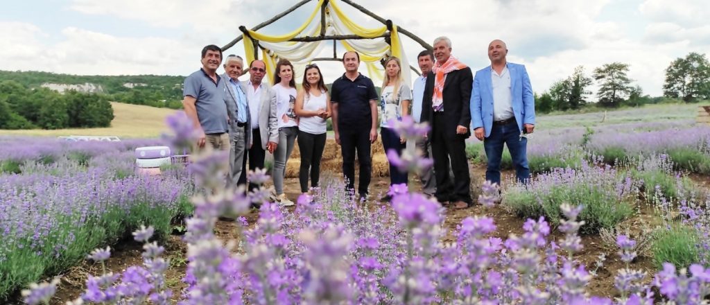 GİRİŞİMCİ KADINLARDAN LAVANTA TARLASI