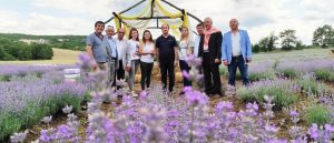 GİRİŞİMCİ KADINLARDAN LAVANTA TARLASI