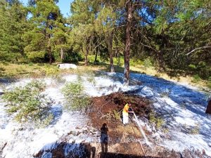 ZAMANINDA MÜDAHALE ORMANI KURTARDI