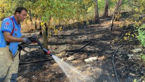 ÇAMLIK ORMANI FELAKETTEN DÖNDÜ