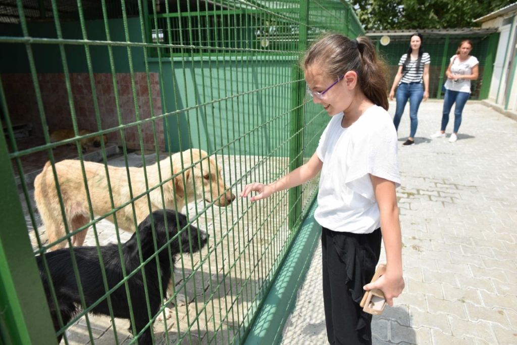 CAN DOSTLARI BELEDİYEYE EMANET