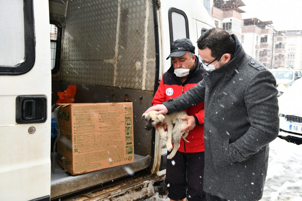 CAN DOSTLARINA ŞEFKAT ELİ