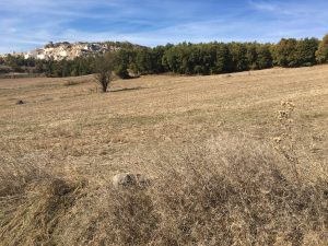 DANAKIRAN GÖLETİ BEKLEMEDE