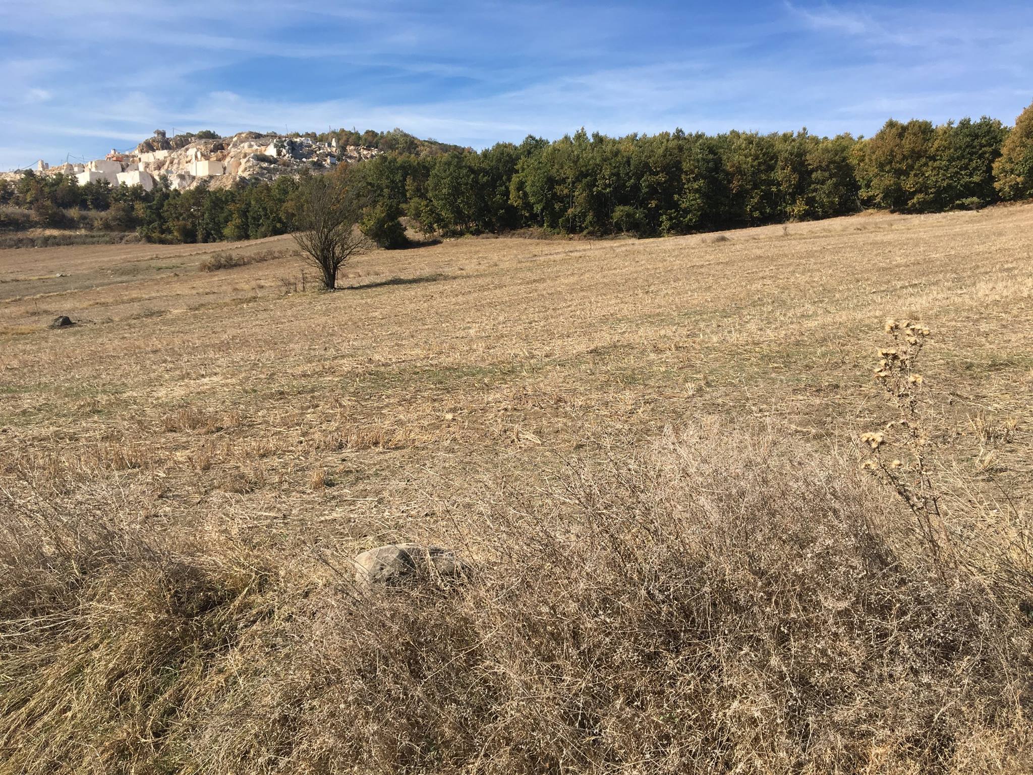DANAKIRAN GÖLETİ BEKLEMEDE