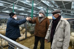 HAYVAN PAZARI EKONOMİYE CAN KATIYOR