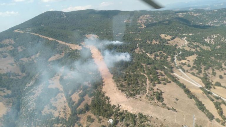 KIZILÇAM ORMANLARINDA YANGIN TEHLİKESİ