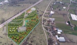 KANAR; ‘MİLLET BAHÇESİ MUSTAFAKEMALPAŞA’YA DEĞER KATACAK’