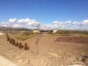 KAVŞAKLARA ESTETİK DOKUNUŞ