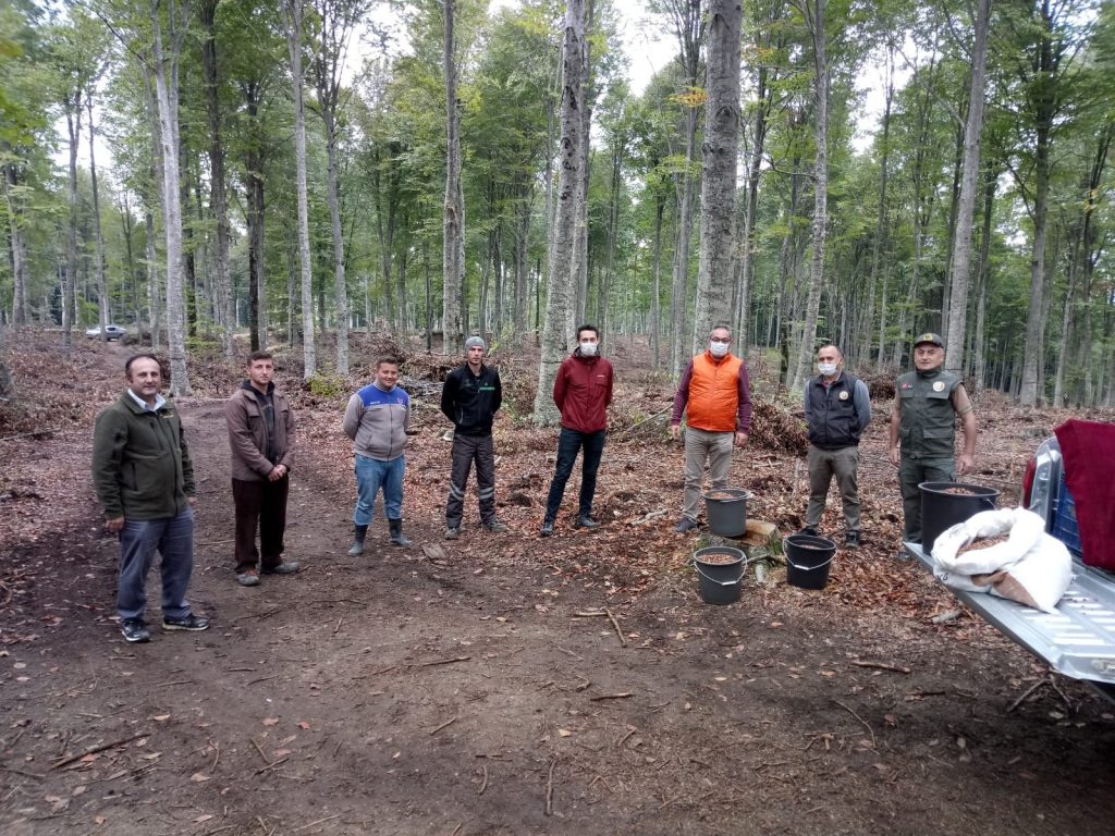 ORMAN İŞLETMESİ MUSTAFAKEMALPAŞA’YA NEFES OLDU