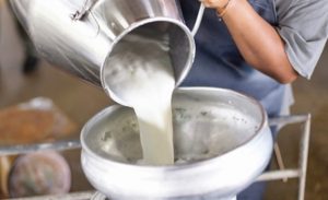 SÜT ÜRETİCİLERİ SAHİPSİZ Mİ KALACAK?