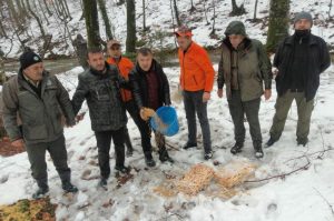 YABAN HAYVANLARINA YEM VE OT BIRAKILDI