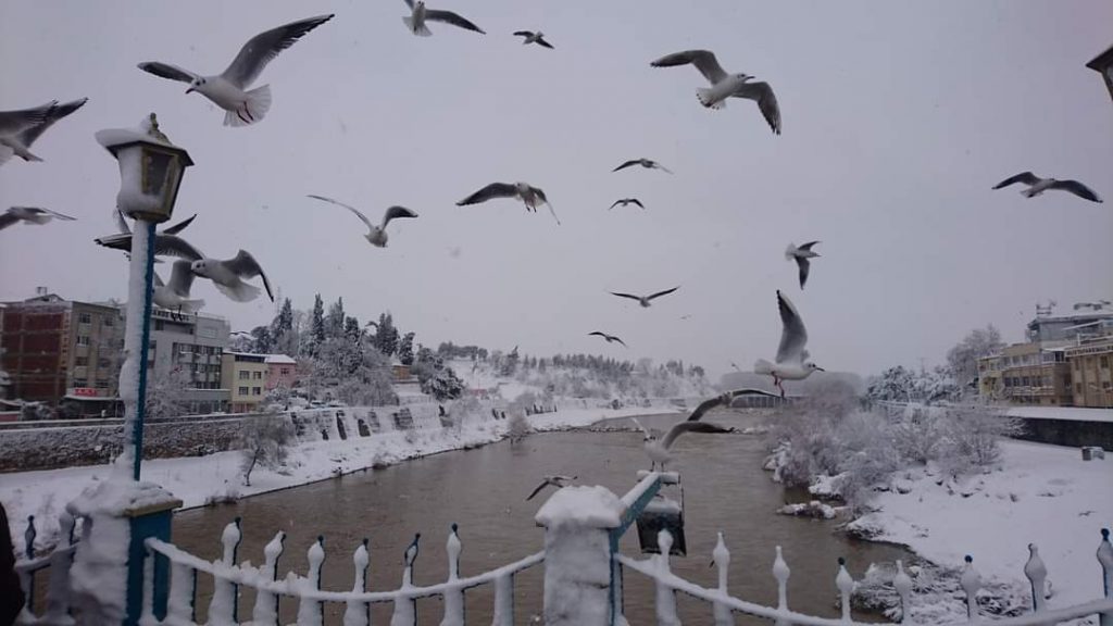 KAR, HAFTA SONUNA KADAR SÜRECEK