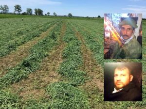 TARLA KAVGASINDA KAN AKTI