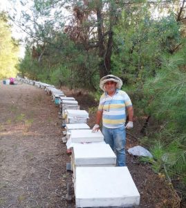 ARICILAR, BAL ORMANI İSTİYOR