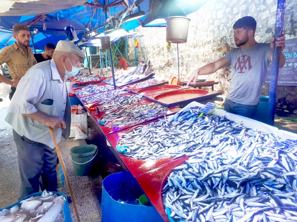 BALIK TEZGAHLARI ŞENLENDİ