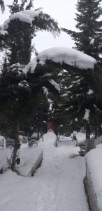 MEZARLIK ZİYARETLERİNDE DİKKAT!