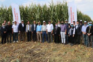 SİLAJLIK MISIRDA TARLA GÜNÜ