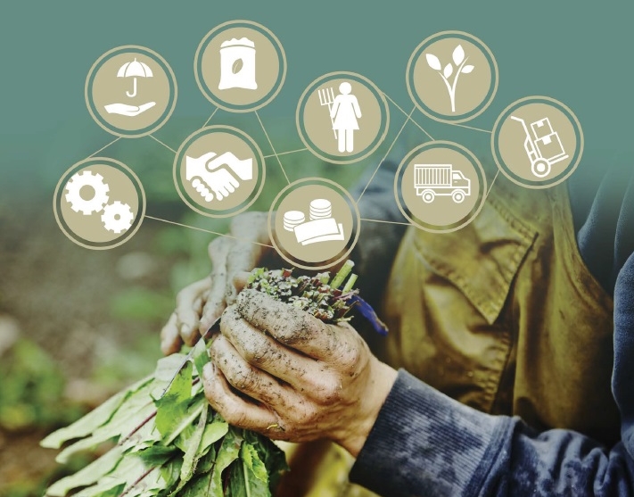 ÜRETİCİ DİTAP İLE KAZANIYOR