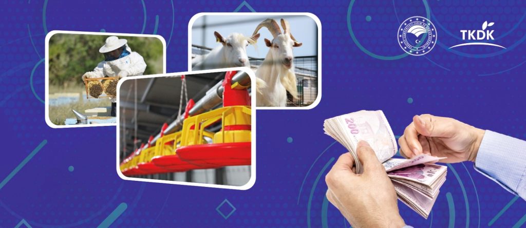 28 MİLYONLUK HİBE DESTEĞİ