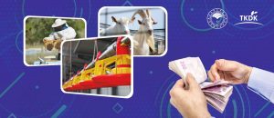 28 MİLYONLUK HİBE DESTEĞİ