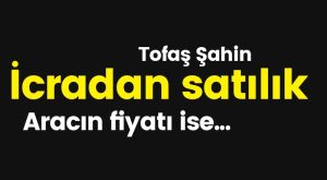 İCRADAN SATILIK ŞAHİN