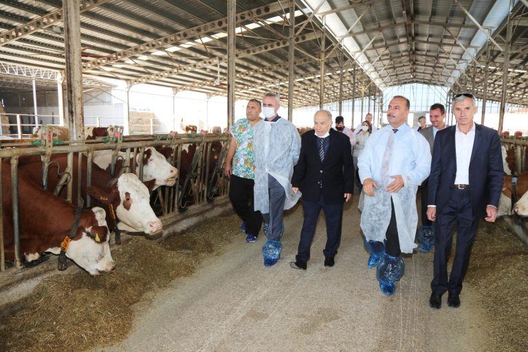 HASTALIKTAN ARİ İŞLETME SAYISI ARTIYOR