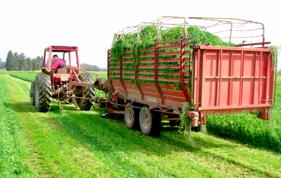 HASATTAN SONRA KABUL EDİLMEYECEK