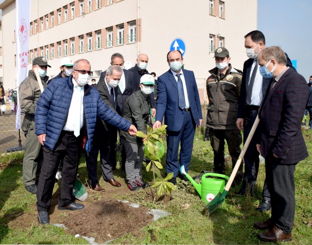 İBN-İ SİNA’DA ORMAN HAFTASI