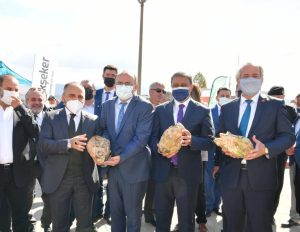 SUSURLUK ŞEKER’DE PANCAR ALIMI BAŞLADI