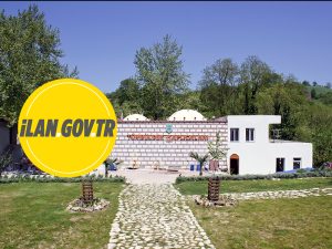 TÜMBÜLDEK İÇİN ETÜD PROJE HİZMETİ ALINACAK