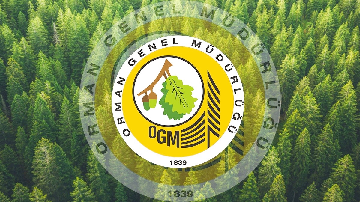 OGM’DEN ÖMERALTI AÇIKLAMASI
