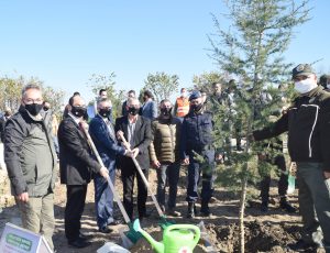 AĞAÇLANDIRMA SEFERBERLİĞİ