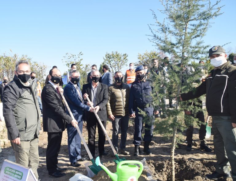 AĞAÇLANDIRMA SEFERBERLİĞİ