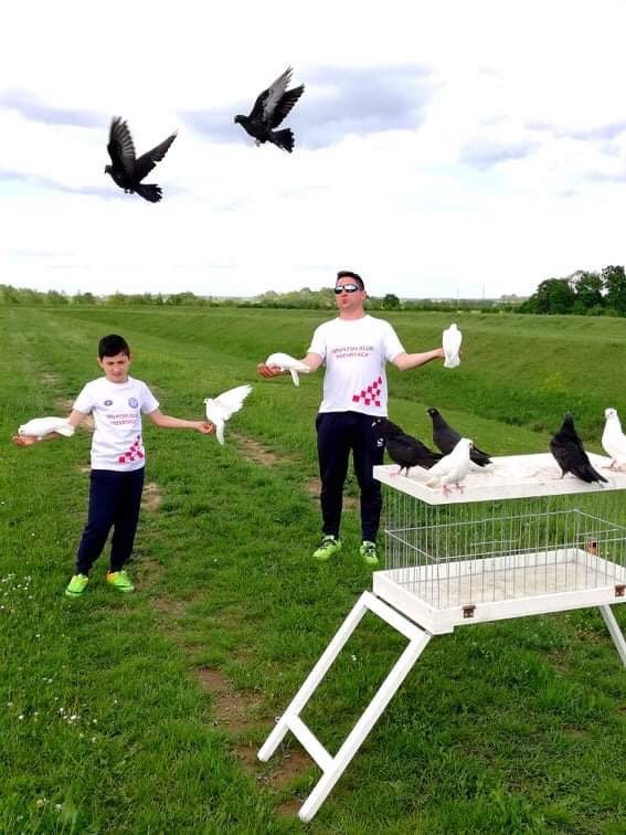 ARALIK’TA GÜVERCİN FESTİVALİ