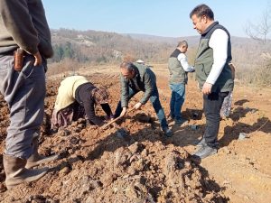 KIRSAL, MAVİ YEMİŞLE KALKINACAK