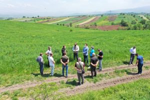 MERALARDA OT VERİMİ İYİLEŞTİRİLİYOR