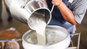 SÜT SEKTÖRÜNDEN ‘FİYAT’ İSYANI