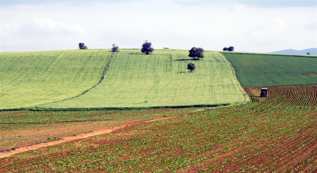 TARIM ARAZİLERİNİN SATIŞ VE DEVRİNDE VERGİ İLE HARÇ ALINMAYACAK