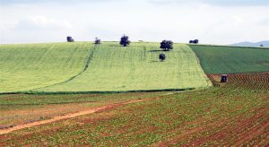 TARIM ARAZİLERİNİN SATIŞ VE DEVRİNDE VERGİ İLE HARÇ ALINMAYACAK