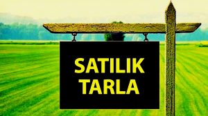 TIRNOVA’DA SATILIK TARLA