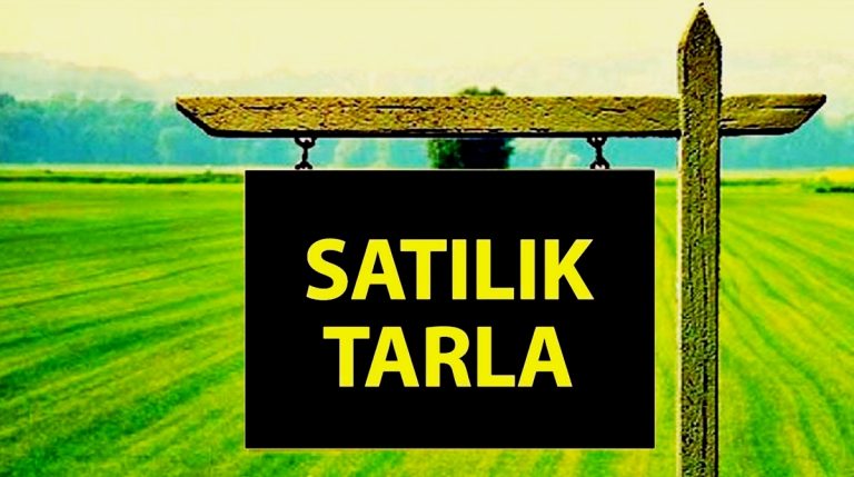 TIRNOVA’DA SATILIK TARLA