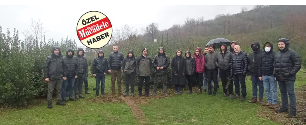 DEFNE ÜRETİMİNE YAKIN MARKAJ