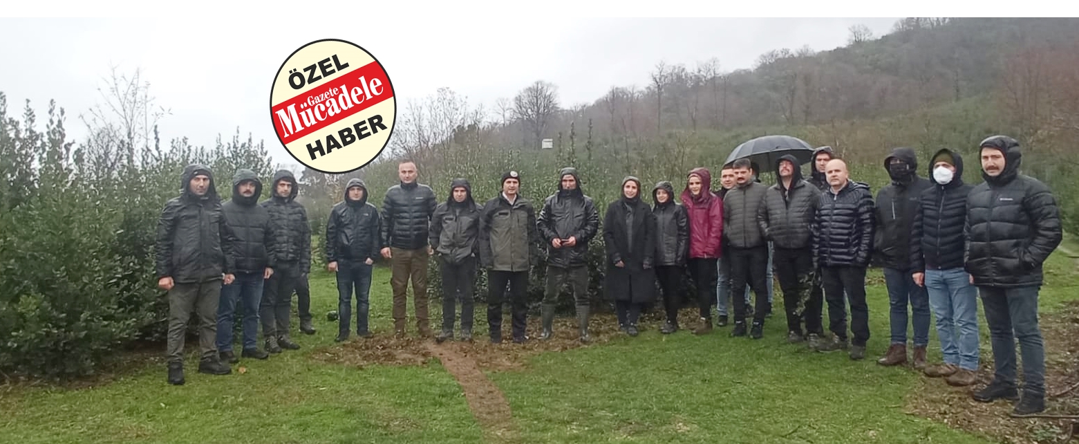 DEFNE ÜRETİMİNE YAKIN MARKAJ