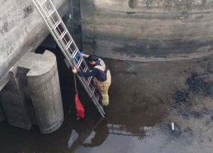 REGÜLATÖRDE KEDİ OPERASYONU