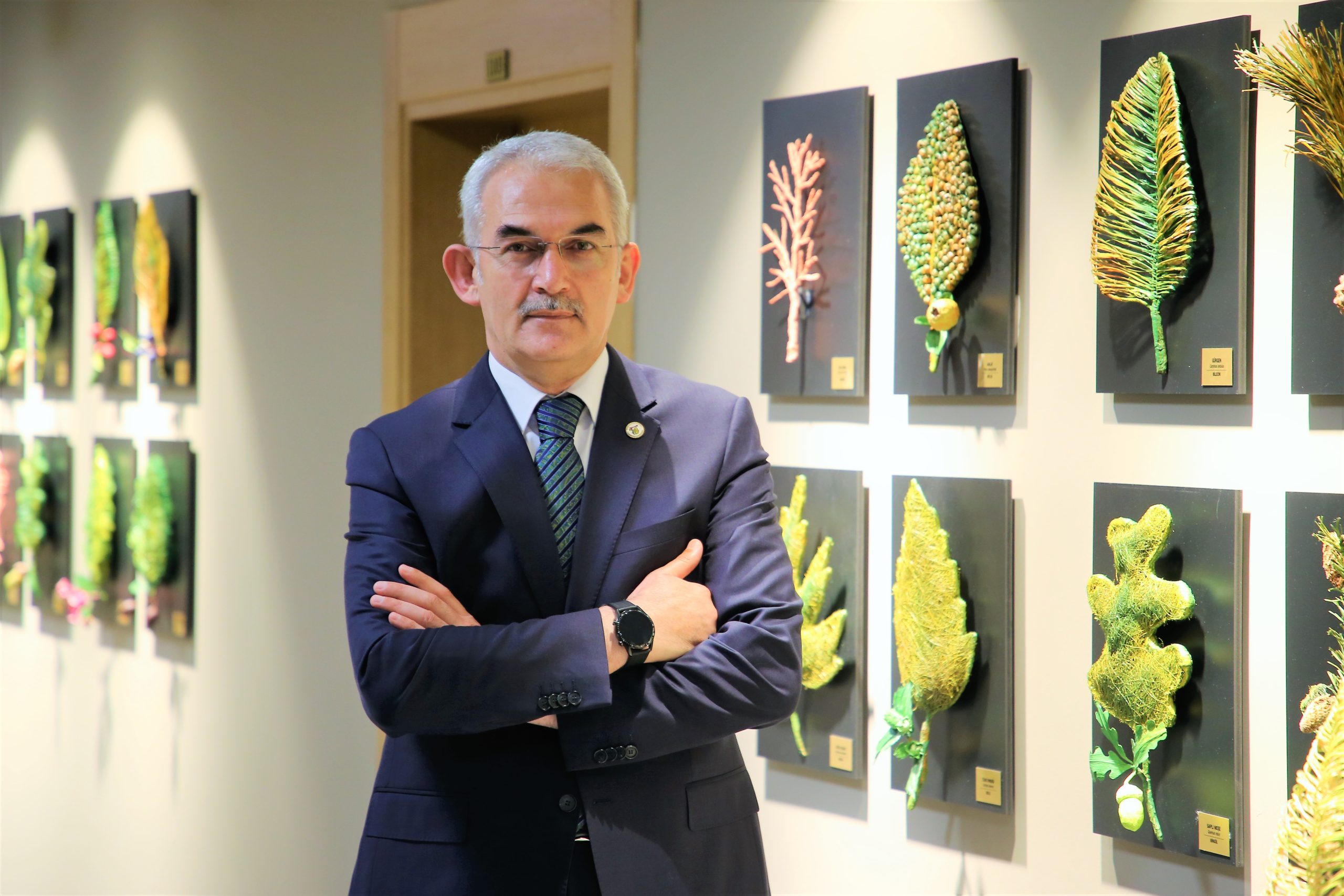 ORMAN KÖYLÜSÜNE 354 MİLYON TL DESTEK