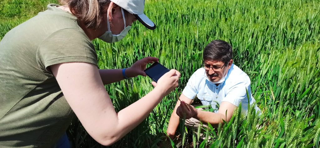 SÜNE MÜCADELESİ BAŞLADI