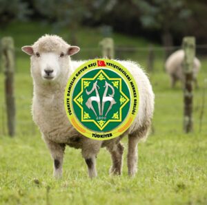 BAŞVURULAR YENİDEN AÇILIYOR