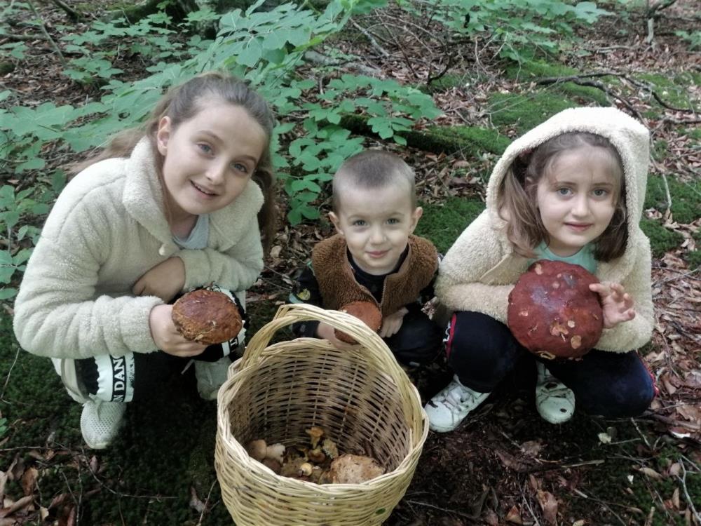 MİNİK MANTAR AVCILARI