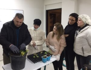 HEM’DEN FİDE KURSU